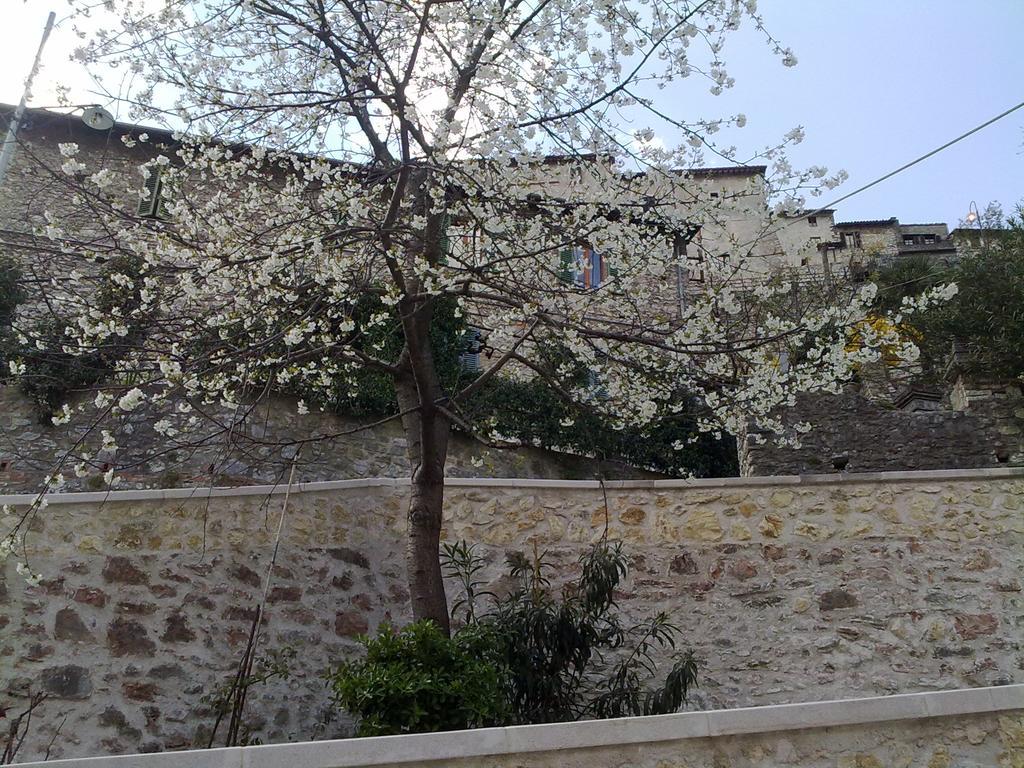 Il Paradiso Nel Borgo Arrone Luaran gambar